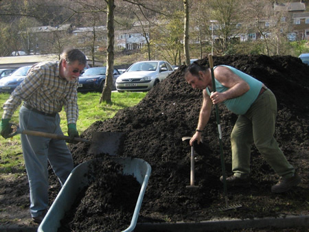Barrowing compost 1