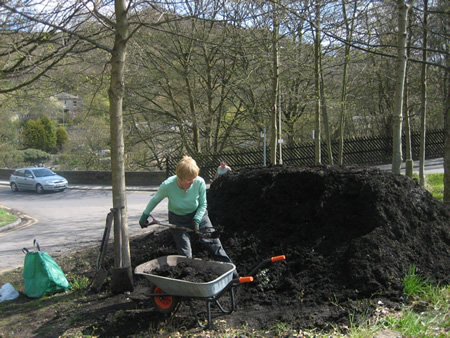 Barrowing compost 2