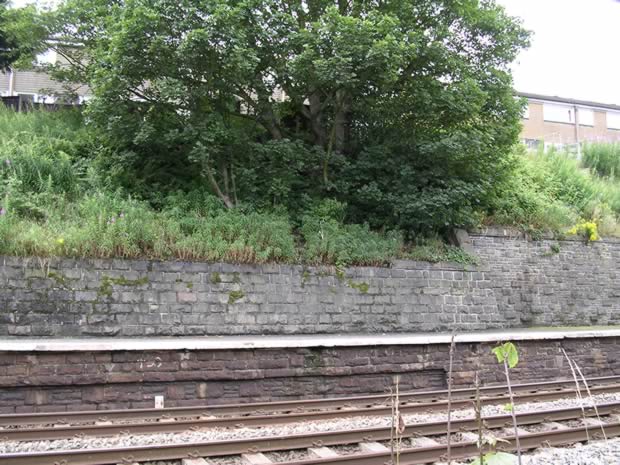 The 'up' line platform wall showing where Platform 1 was extended