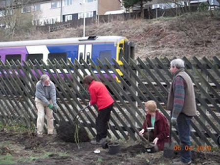 Planting fruit bushes April 2010 photo 1