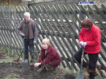 Planting fruit bushes April 2010 photo 2